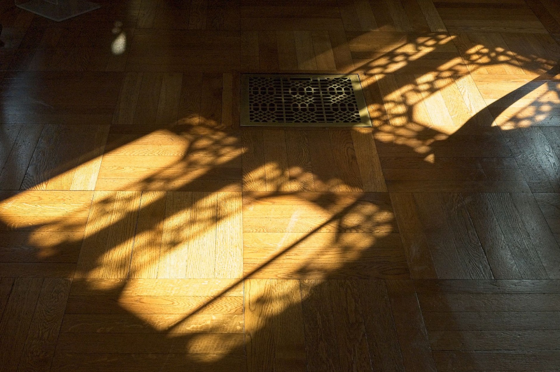 Suelo de parquet recién barnizado con luz de tarde